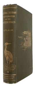 A Sketch of the Natural History (Vertebrates) of the British Islands. With Illustrations.