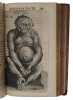 Amstelredamensis Observationes Medicae. "TULPII, NICOLAI.