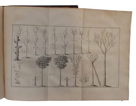 Des Semis et Plantations des Arbres et de leur Culture ou méthodes pour multiplier et elever les Arbres, les Planter en Massifs et en Avenues former ...