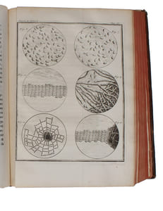 Histoire Naturelle, Générale et Particulière, avec la description du Cabinet du Roy (15 vols.) (+) Supplément à l'Histoire naturelle (6 vols) (+) Histoire naturelle des Oiseaux (9 vols) (+) Quadrupedes Ovipares et des Serpens (2 vols). 32 vols. - [FIRST ""COMPLETE SURVEY OF NATURAL HISTORY IN POPULAR FORM"" - PMM 198]
