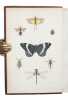 A Treatise on some of the Insects Injurious to Vegetation. A new Edition, enlarged and improved, with Additions from the Author's Manuscripts and ...
