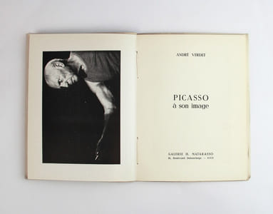 Picasso à son image