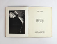 Picasso à son image
