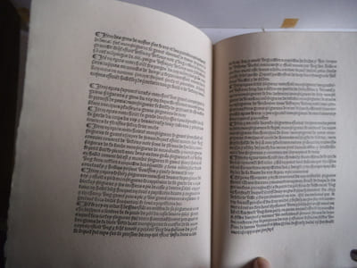 L’entrée du Rois Louis XII et de la Reine Anne à Rouen 1508.