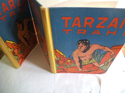 Tarzan trahi.adaptation française P.F.Caille.