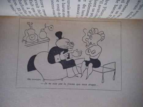 L’énigmatique BELUGA . LEO CAMPION .