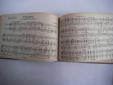 Der flotte trompeter . GASSMANN A.L 