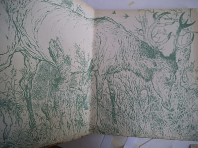 La forêt secrète