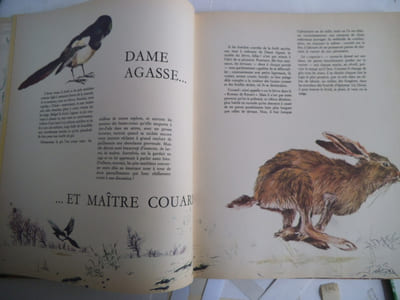 La forêt secrète