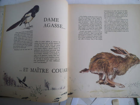 La forêt secrète. HAUSMAN René