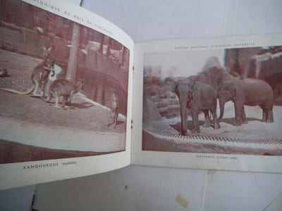 Zoo de Paris en relief par les anaglyphes.