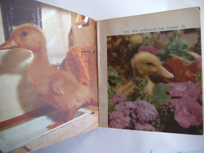 SATURNIN le poète