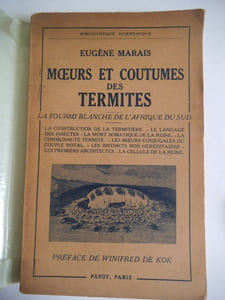 Moeurs et coutumes des termites