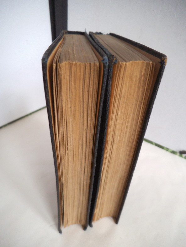 Volume : 2 volumes, reliure en toile dorée, env. 310 p. …