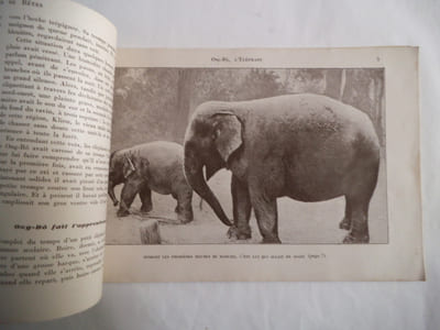 ONG-BO l’éléphant
