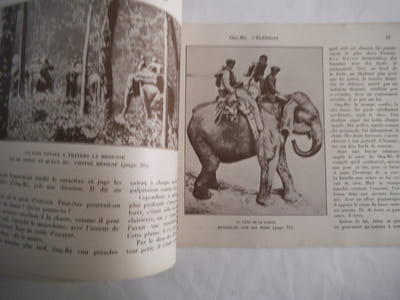 ONG-BO l’éléphant
