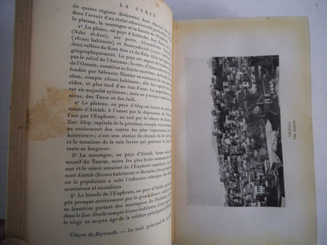 La Syrie. GEORGE-SAMNE