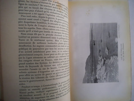 La Syrie. GEORGE-SAMNE