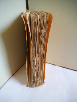sorcellerie, magnétisme, morphinisme, . REGNARD Paul