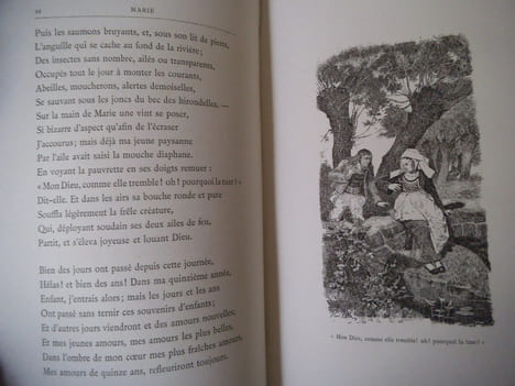 Marie-Primel et Nola. BRIZEUX Auguste