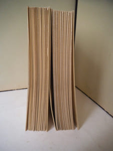 mémoires de Jacques CASANOVA de SEINGALT