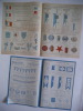 Catalogue manufacture générale de drapeaux, bannières, oriflammes, . Collectif 