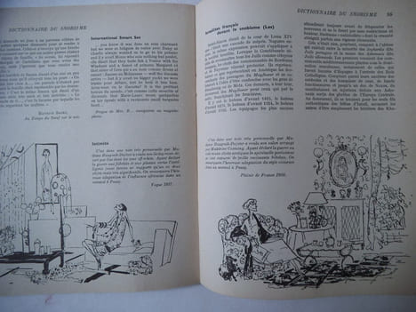 Dictionnaire du snobisme . JULLIAN  Philippe 