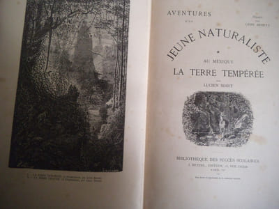 Aventures d’un jeune naturaliste au Mexique- La terre Tempérée.