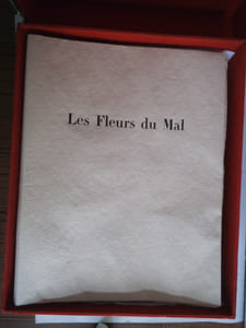 Les fleurs du mal