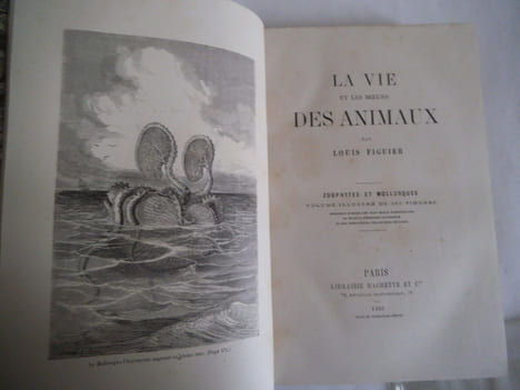 la vie et les mœurs des animaux. Zoophytes et mollusques. . FIGUIER Louis