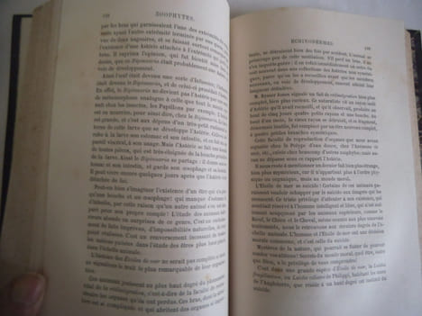 la vie et les mœurs des animaux. Zoophytes et mollusques. . FIGUIER Louis