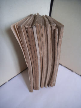 Les bons livres. VERNAY Félix
