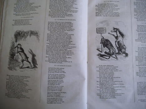Fables de LA FONTAINE. . LA FONTAINE