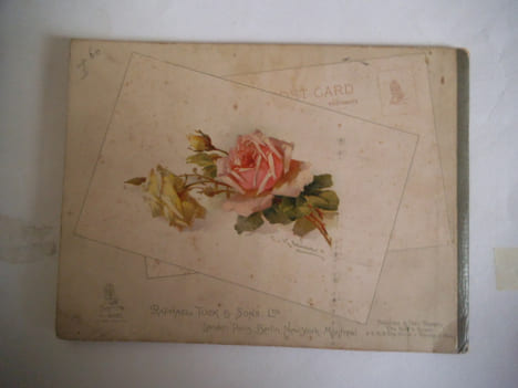 BUDS AND BLOSSOMS. . KLEIN Catherine.