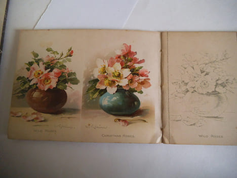 BUDS AND BLOSSOMS. . KLEIN Catherine.