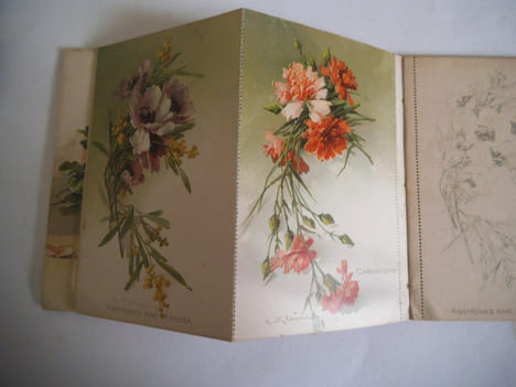 BUDS AND BLOSSOMS. . KLEIN Catherine.