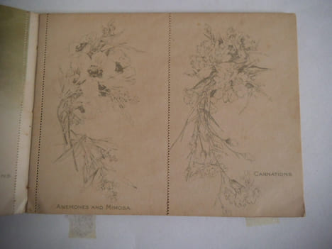 BUDS AND BLOSSOMS. . KLEIN Catherine.