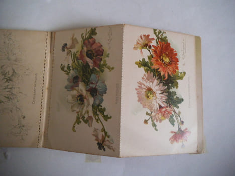 BUDS AND BLOSSOMS. . KLEIN Catherine.
