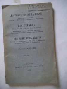 Les parasites de la vigne