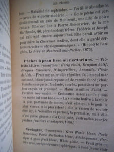 Les parasites de la vigne