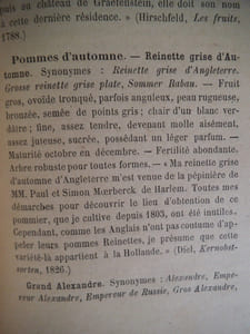 Les parasites de la vigne
