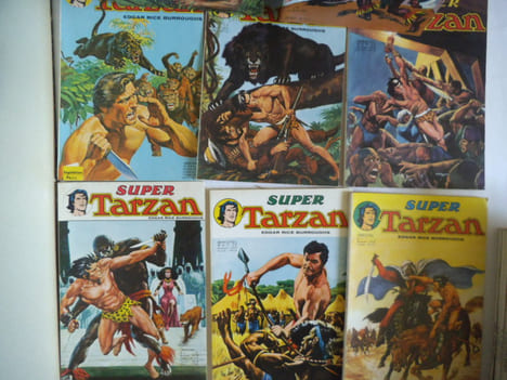 TARZAN le seigneur de la jungle.. Edgar Rice Burroughs