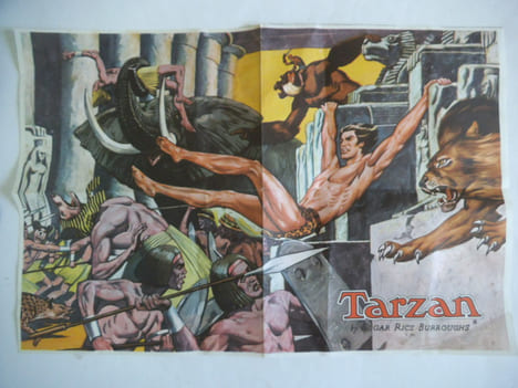 TARZAN le seigneur de la jungle.. Edgar Rice Burroughs