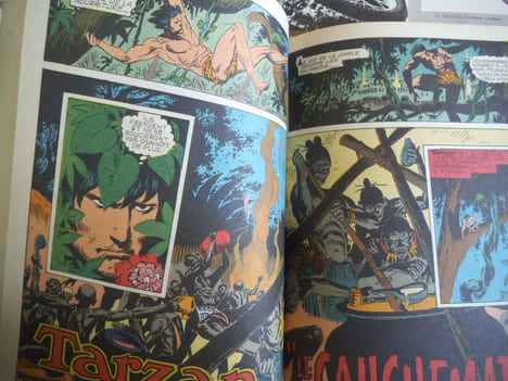 TARZAN le seigneur de la jungle.. Edgar Rice Burroughs