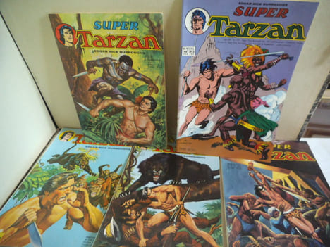 TARZAN le seigneur de la jungle.. Edgar Rice Burroughs