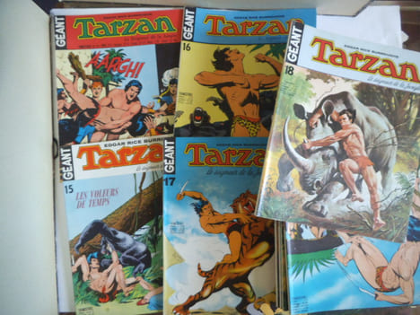 TARZAN le seigneur de la jungle.. Edgar Rice Burroughs