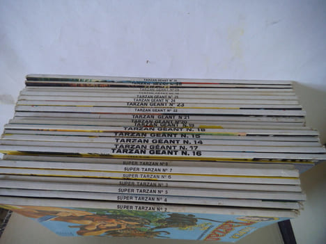 TARZAN le seigneur de la jungle.. Edgar Rice Burroughs