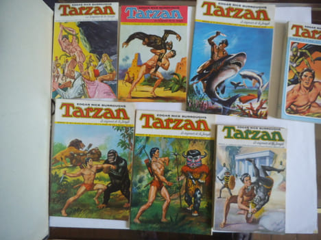 TARZAN le seigneur de la jungle.. Edgar Rice Burroughs