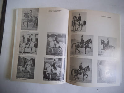 Equitation académique.