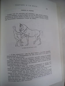 Equitation académique.